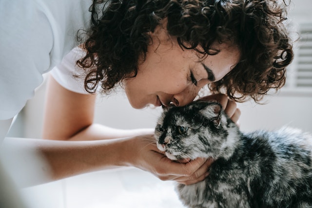 10 Things your cat absolutely loves