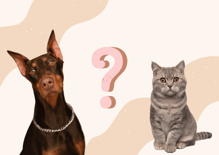 Are Dobermans good with cats?