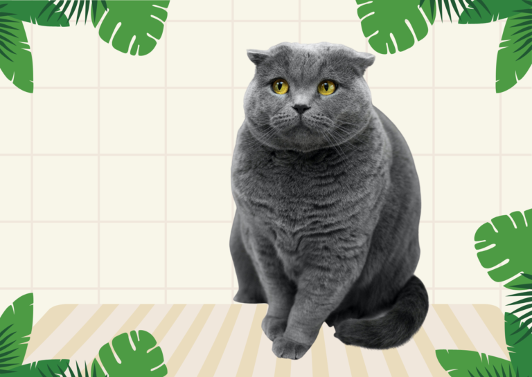 How to keep cats out of plants: 7 cat-friendly methods